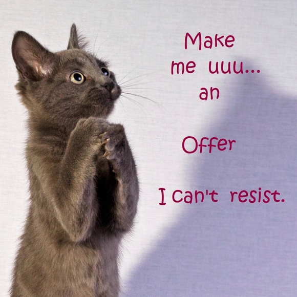 Meet your Posher, Max - Picture 2 of 6